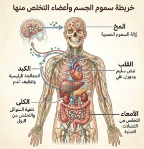كيف يتم سحب السموم من الجسم بدون ألم في شيراز؟
